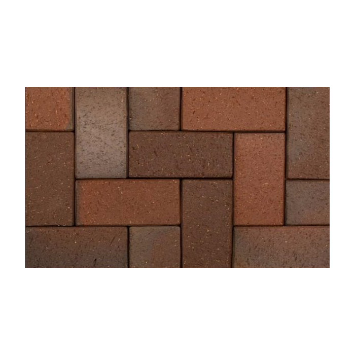Тротуарная клинкерная брусчатка, Kiel-Heidebunt 200х100х45 мм, ABC Klinkergruppe Brick